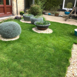 Techniques de taille pour maintenir un jardin esthétique et en bonne santé Viry-Chatillon